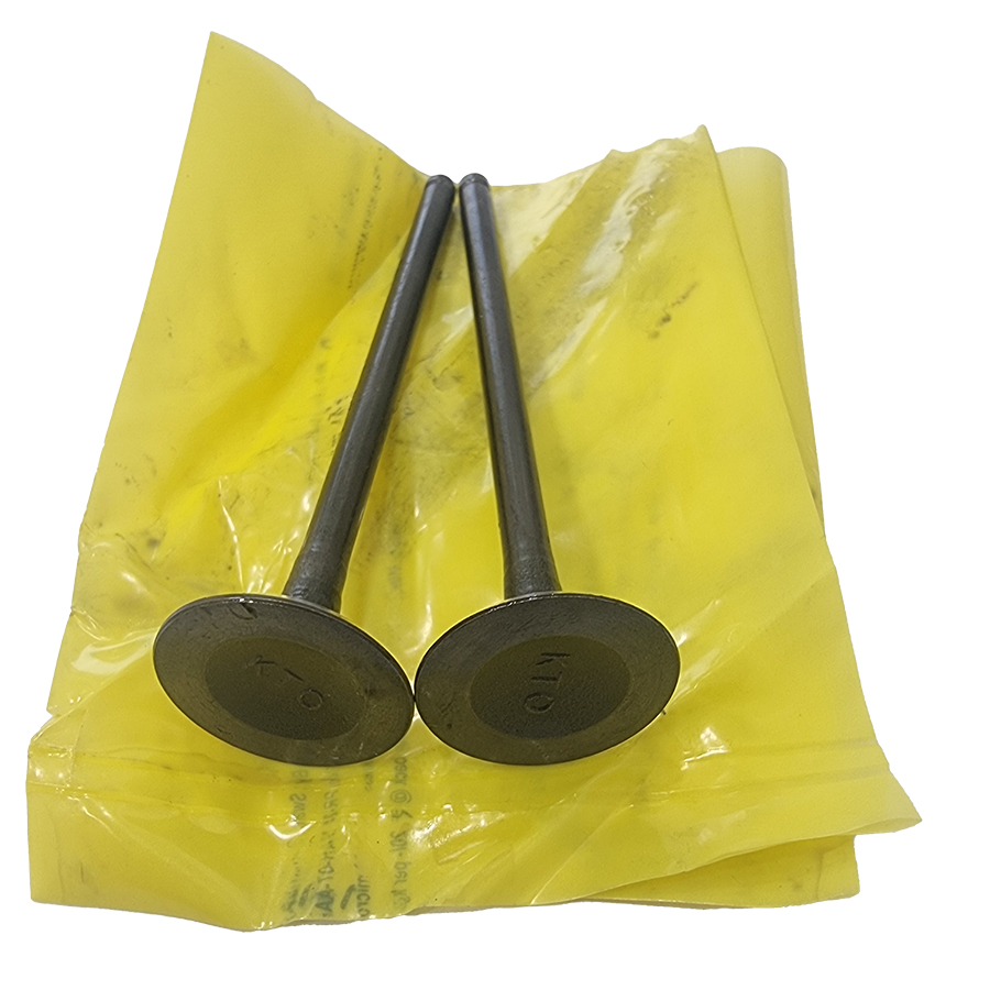 VALVE EXHAUST سوپاپ اگزوز دوک 250 - Image 1